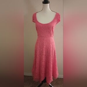 New Lane Bryant Designer Stretch Lace Dress (18/20)